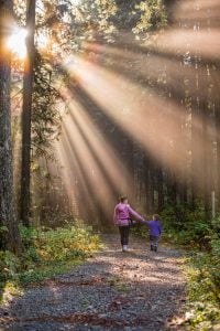 How can a parent going through a divorce shield his/her children from the divorce and the other parent's self-serving behavior? Get the Court to issue a temporary restraining order and/or injunction.